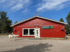 Porotila Toini Sanila in Inari